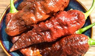 Chocolate Ghost Pepper Seedling