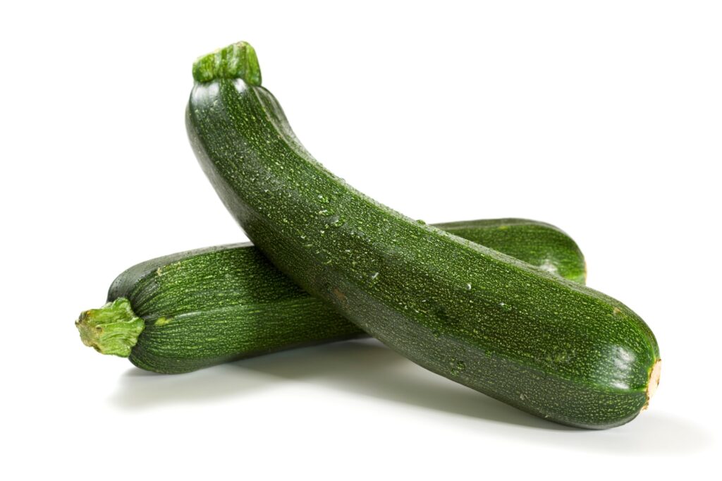 Green Zucchini Seedling