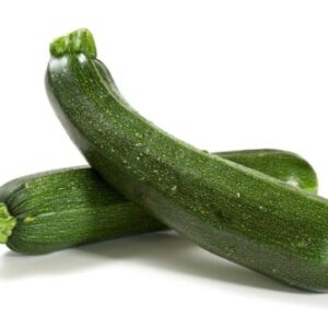 Green Zucchini Seedling